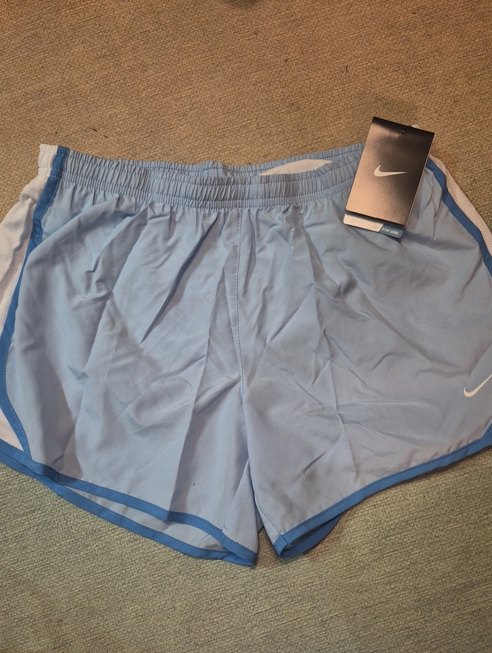 Nike Men’s Light Blue Running Shorts with Blue Trim